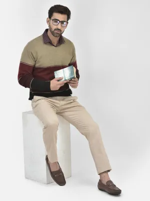 Brown Colourblocked V-Neck Sweaters